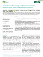 Auxin efflux controls orderly nucellar degeneration and expansion of the female gametophyte in Arabidopsis