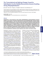 The Transcriptional and Splicing Changes Caused by Hybridization Can Be Globally Recovered by Genome Doubling during Allopolyploidization