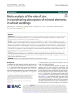 Meta-analysis of the role of zinc in coordinating absorption of mineral elements in wheat seedlings